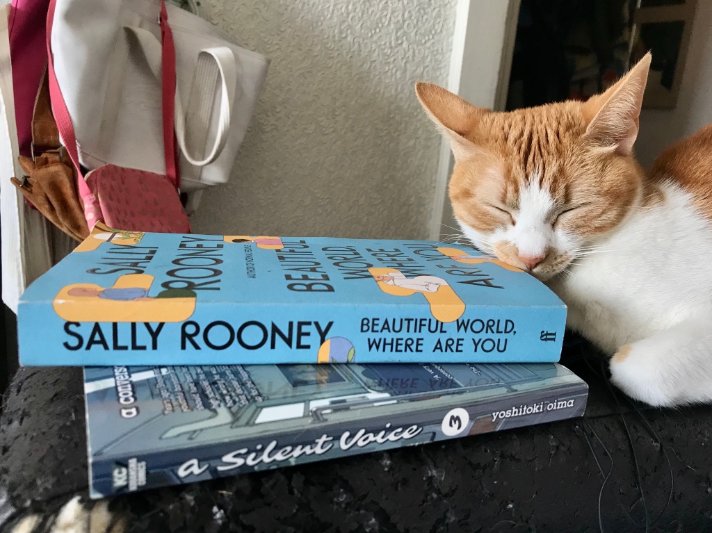 Orange and white cat nuzzling a light blue book. The book spine reads Sally Rooney Beautiful World Where Are You.